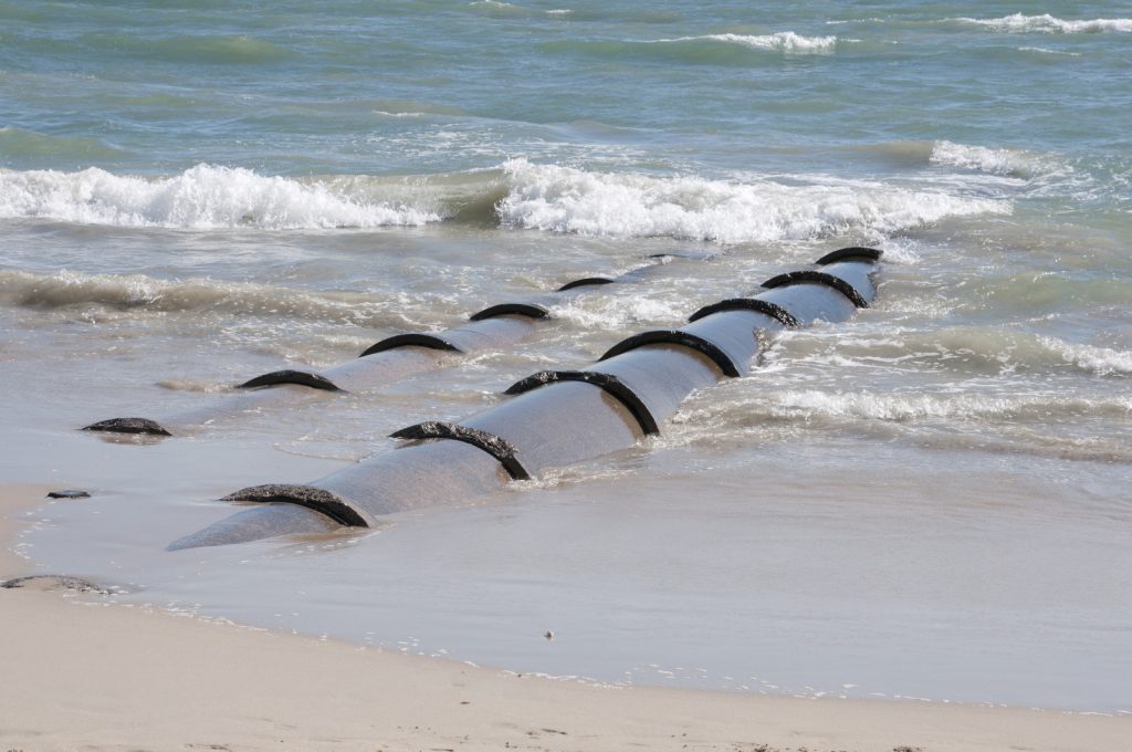 Dallas McFarlane. tweet media