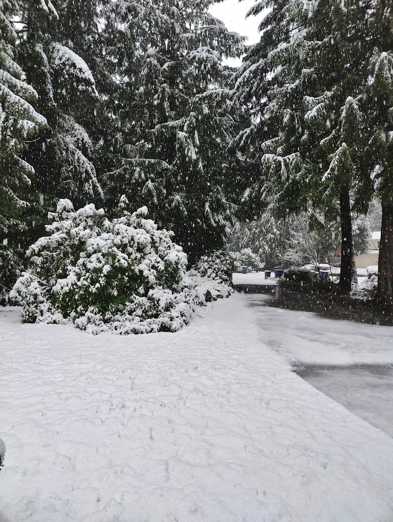 Good Will Stunting tweet media