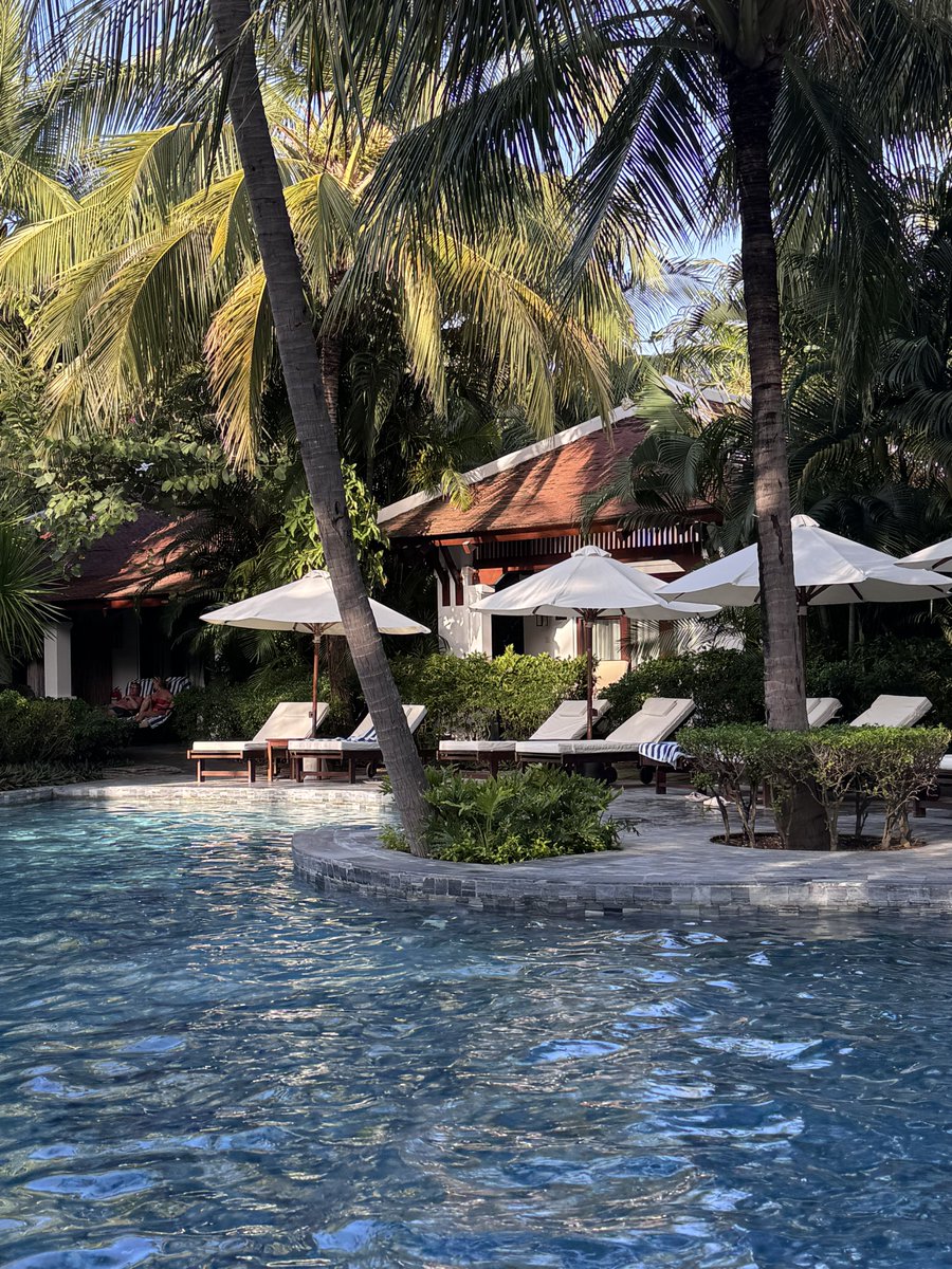 𝗝𝗶 𝗝𝗶 tweet media