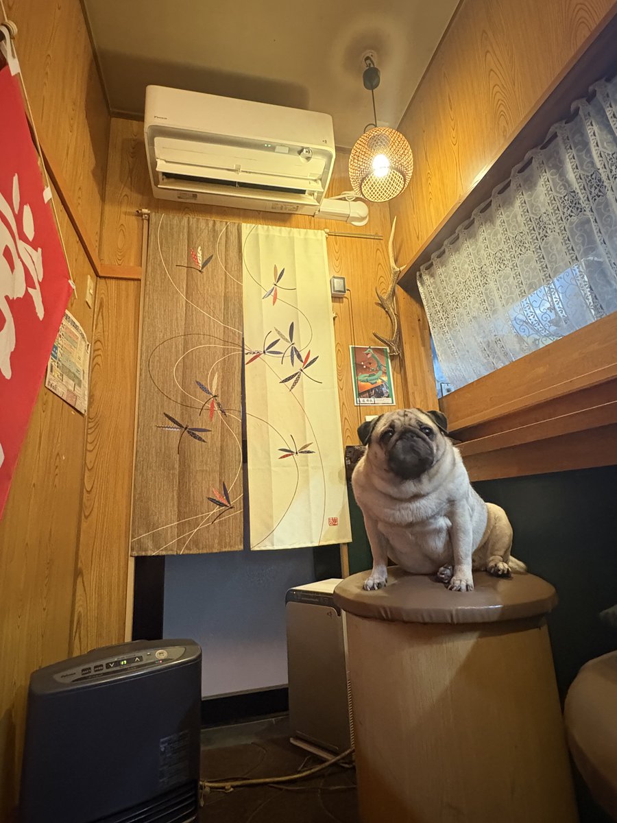 Kchan🐯K5 tweet media