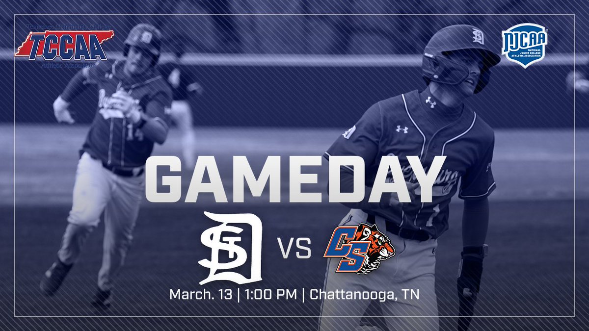 Dyersburg State Baseball tweet media