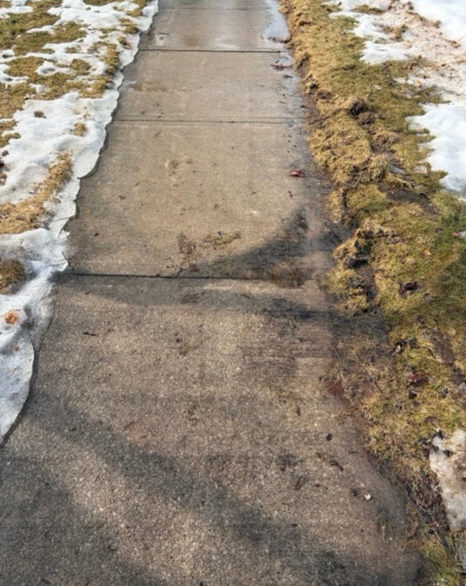 City of Mississauga tweet media