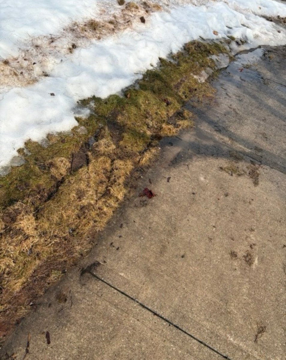 City of Mississauga tweet media