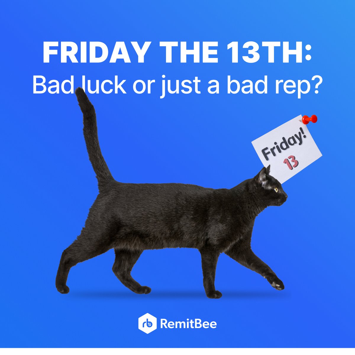 RemitBee tweet media