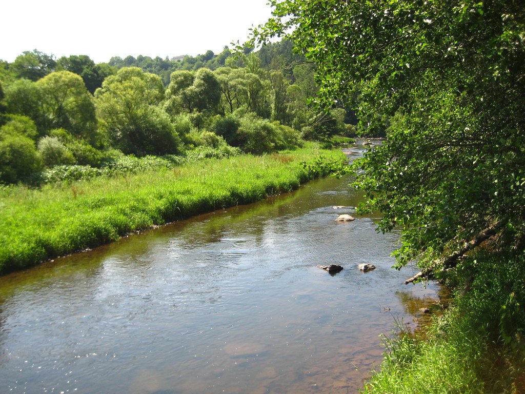 The SCP Foundation tweet media