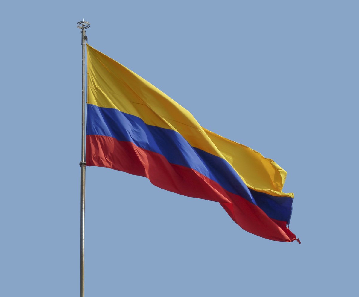 UN Special Procedures tweet media