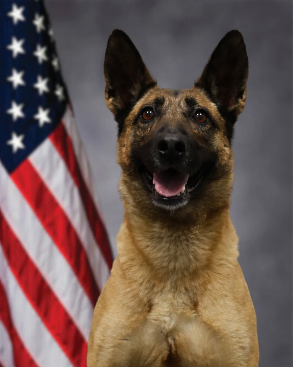 Gwinnett County Sheriff's Office tweet media