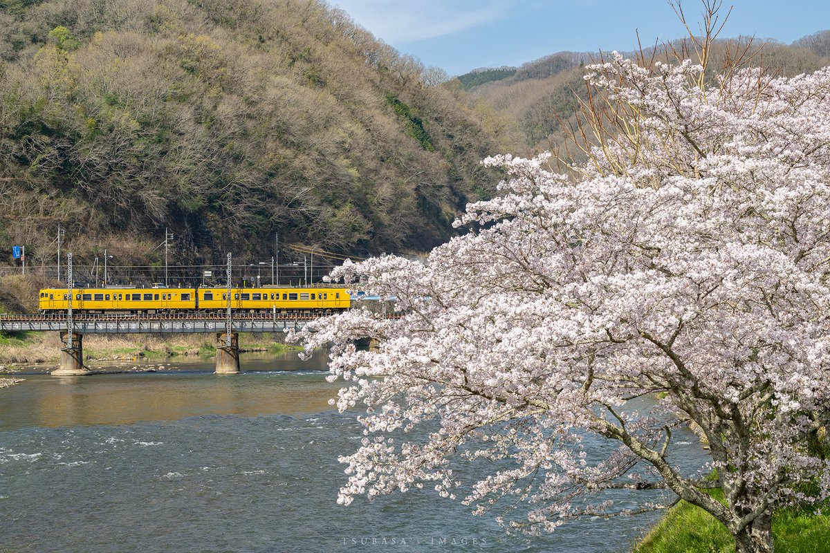 F. P. Cheng tweet media