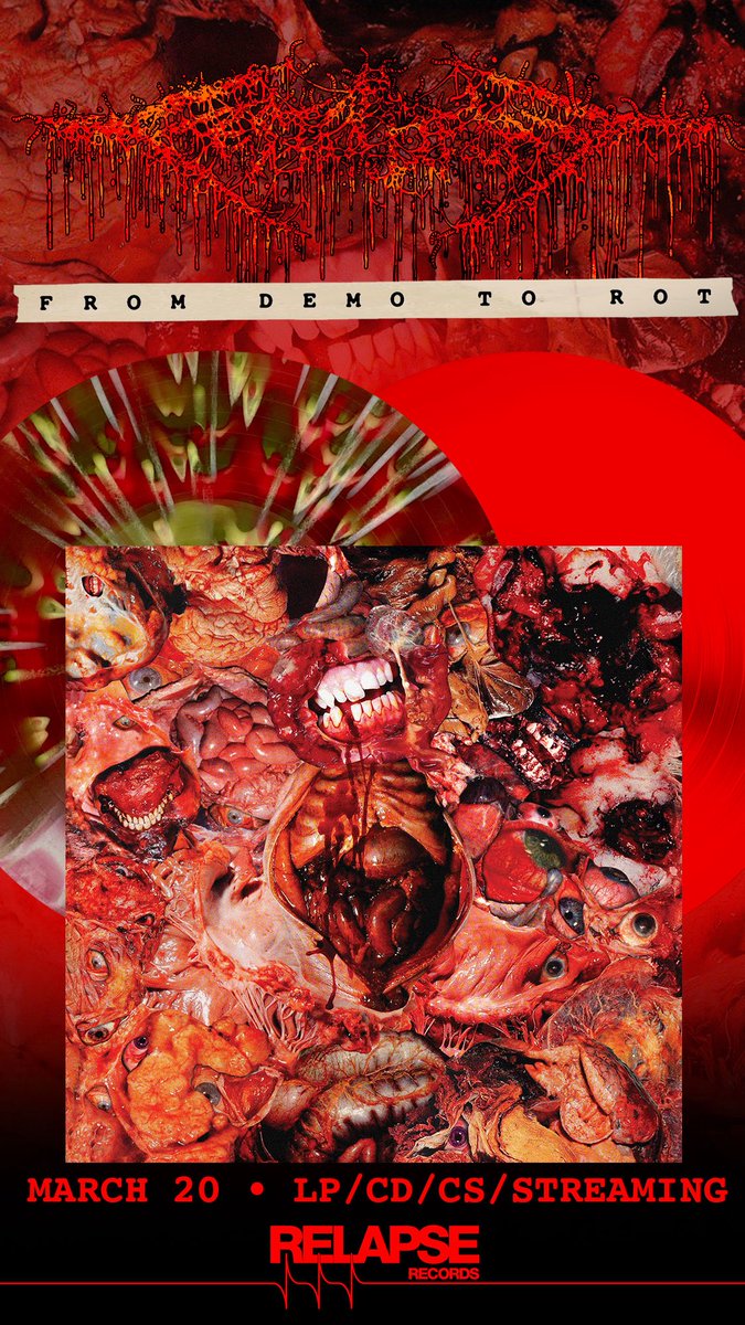 FesterDecay tweet media