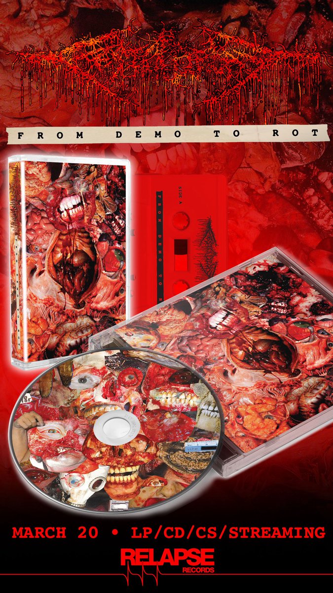 FesterDecay tweet media