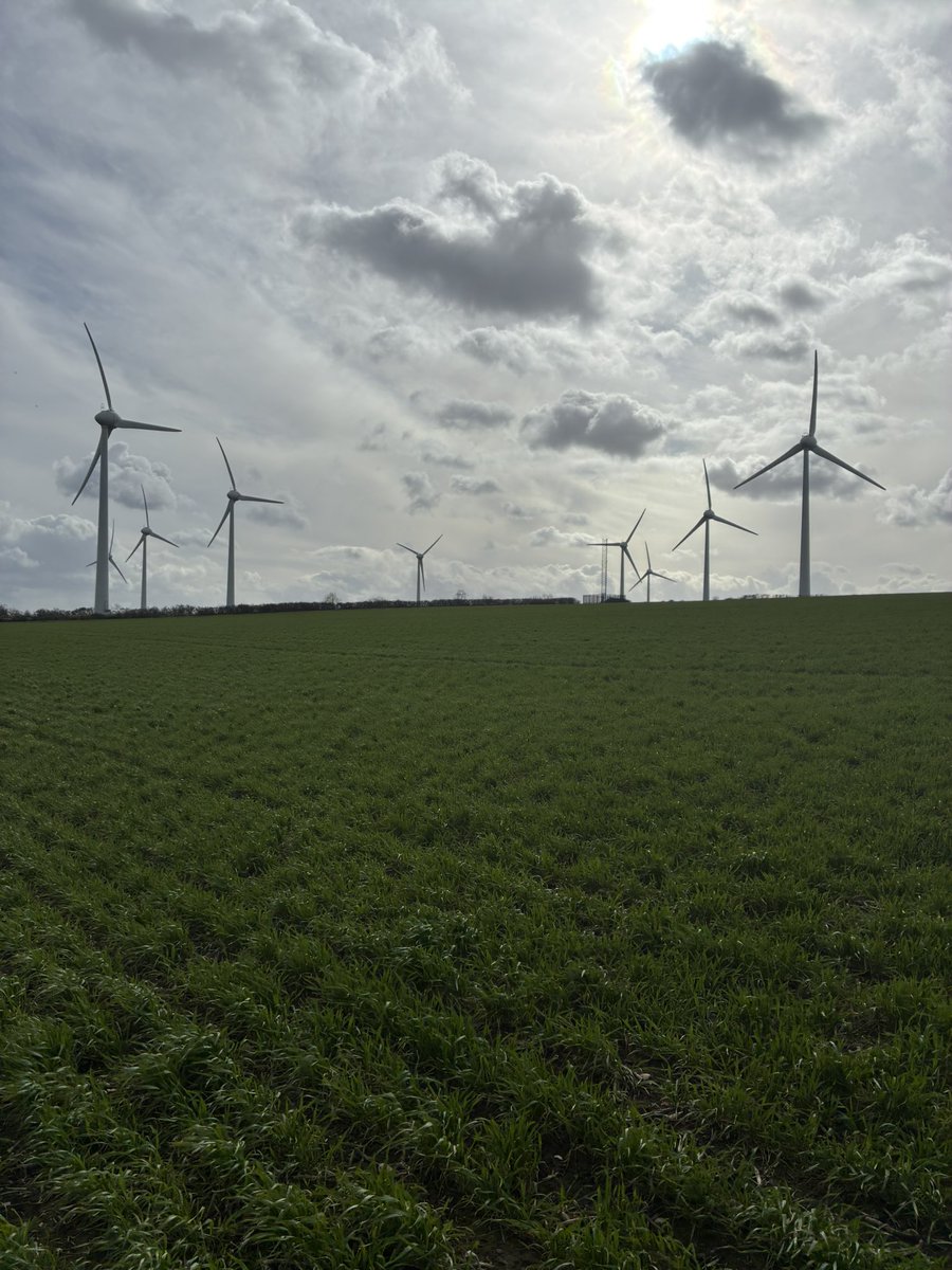 Daniel lievesley tweet media