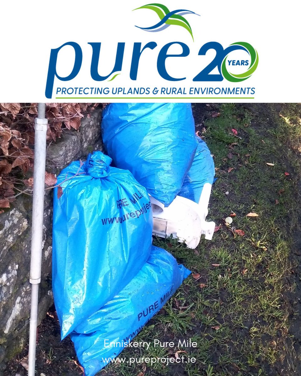 Pure Project tweet media