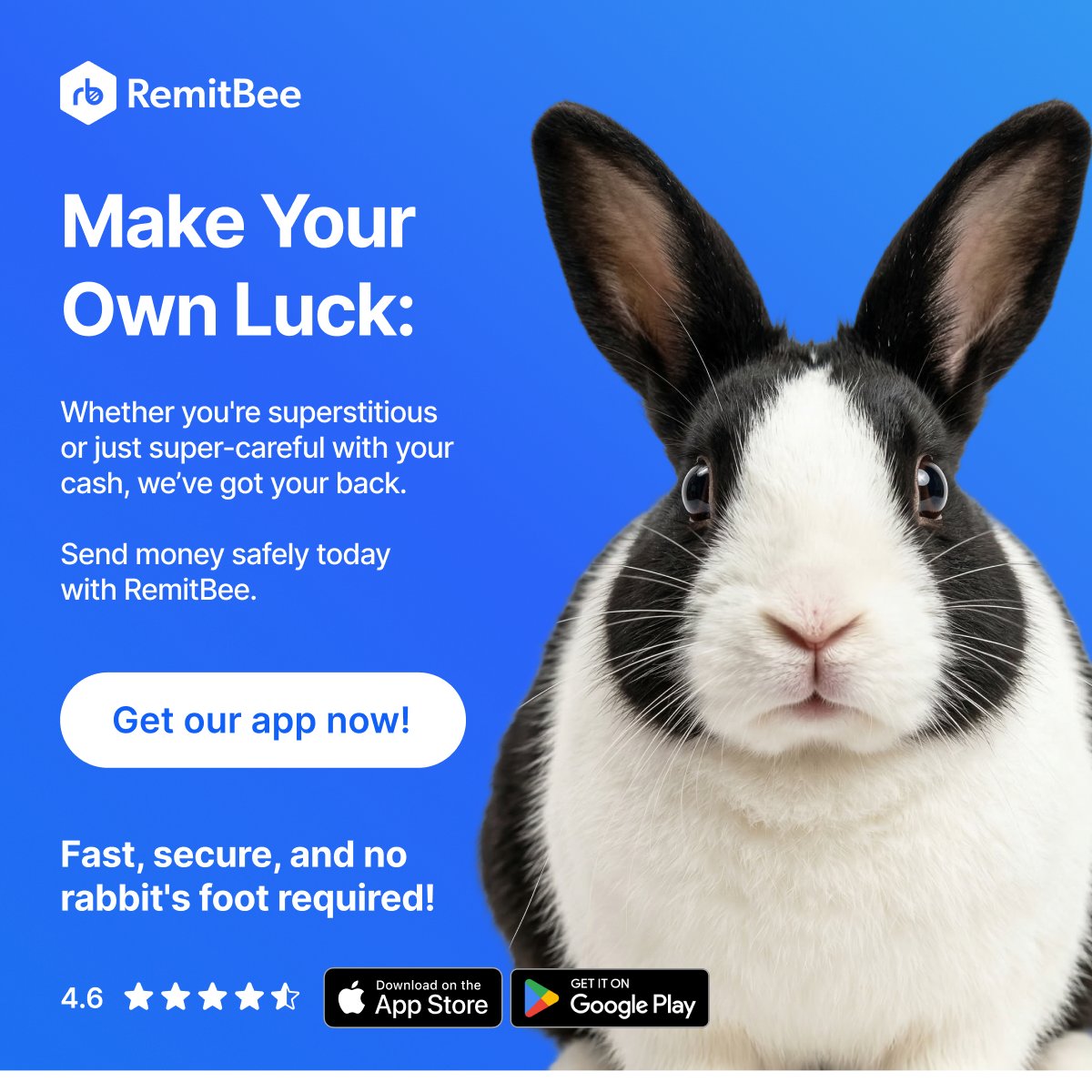 RemitBee tweet media