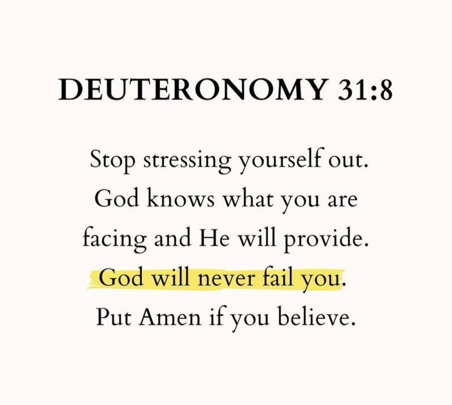 Bible 365 tweet media