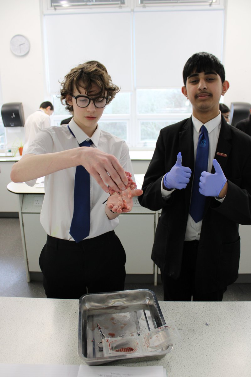 DerbyHighSci's tweet photo. Some more British Science Week fun! So many amazing experiences our students were exposed to this week! https://t.co/L5EXujodXa
