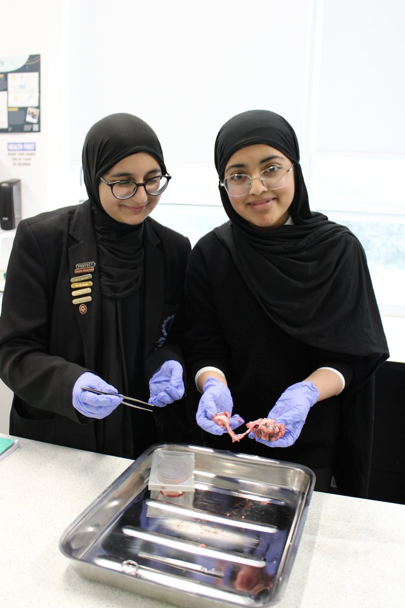 DerbyHighSci's tweet photo. Some more British Science Week fun! So many amazing experiences our students were exposed to this week! https://t.co/L5EXujodXa