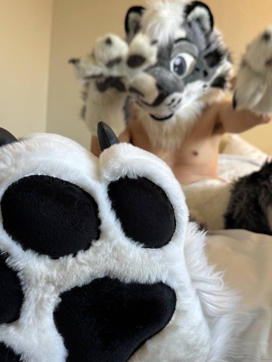 ❄️Selinar Snowcat❄️🔜LVFC tweet media