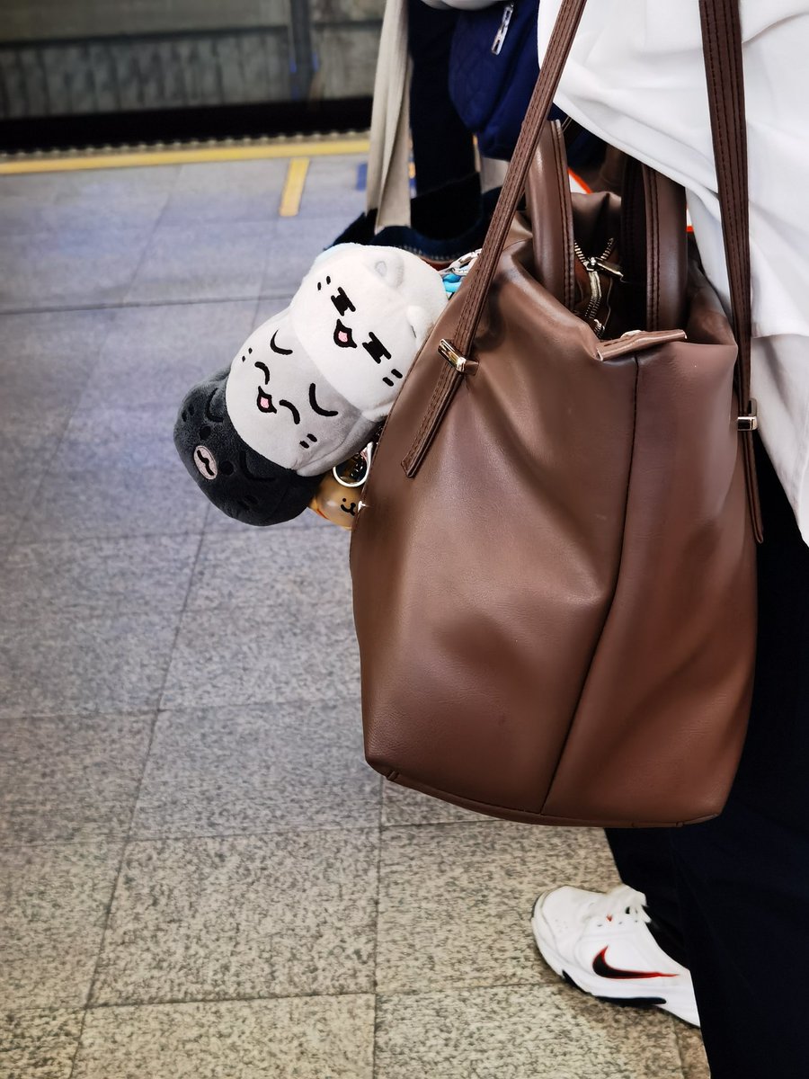 Serenade || DxS 🌻 𓇢𓆸 tweet media