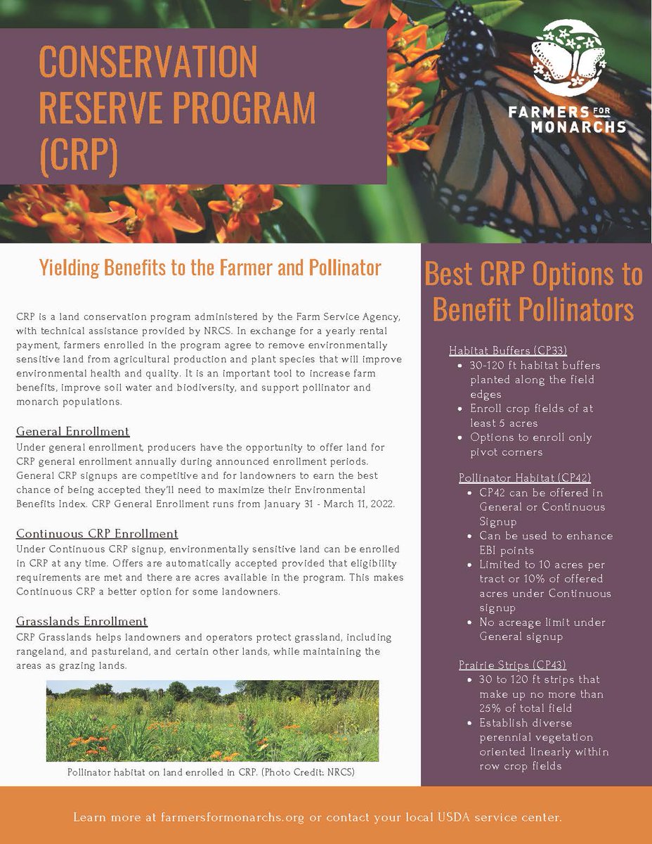 Iowa Monarchs tweet media