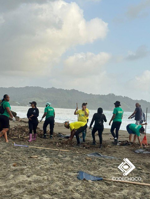 CODECHOCÓ tweet media