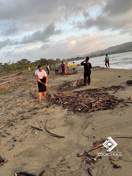 CODECHOCÓ tweet media