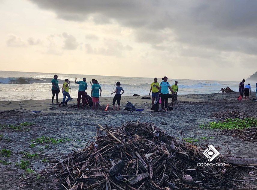 CODECHOCÓ tweet media