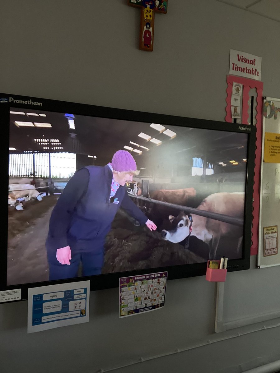 Holy Family Year 4 tweet media