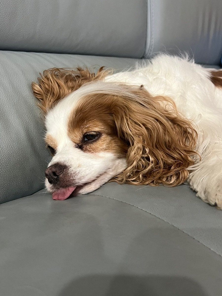 𝐦𝐣 tweet media