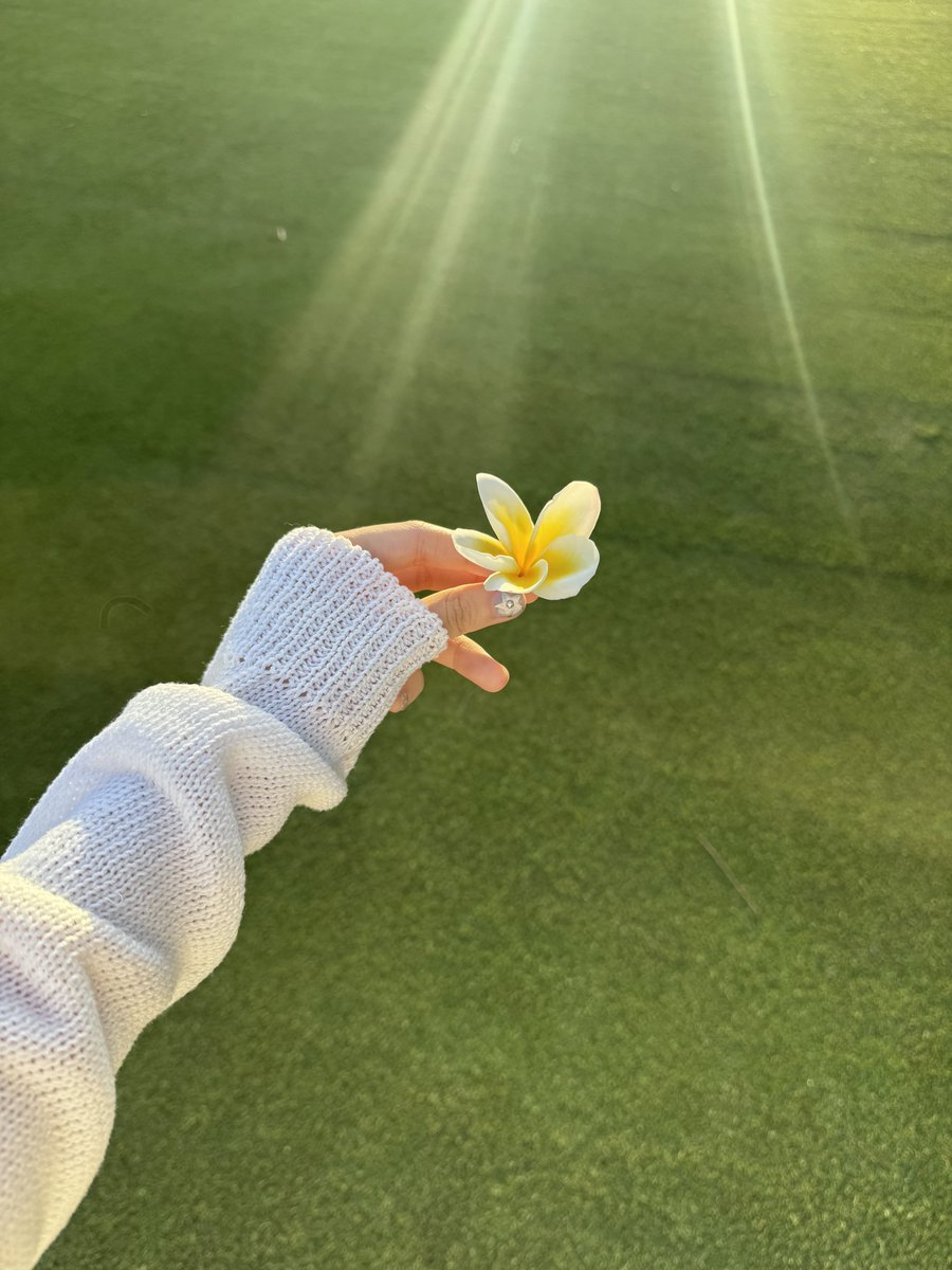 𝗝𝗶 𝗝𝗶 tweet media