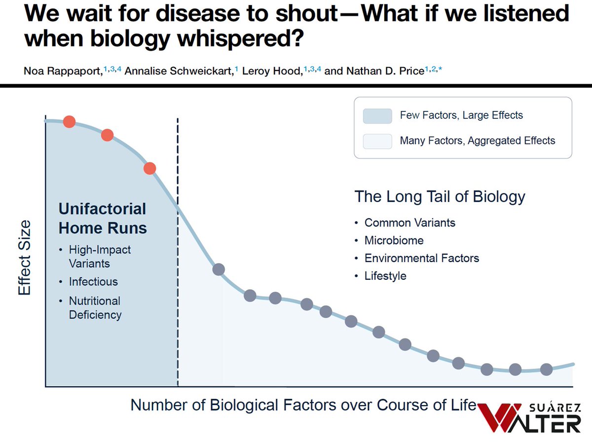 Walter Suárez Carmona tweet media