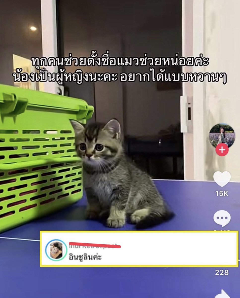 FORTUNEDIETDIARY tweet media