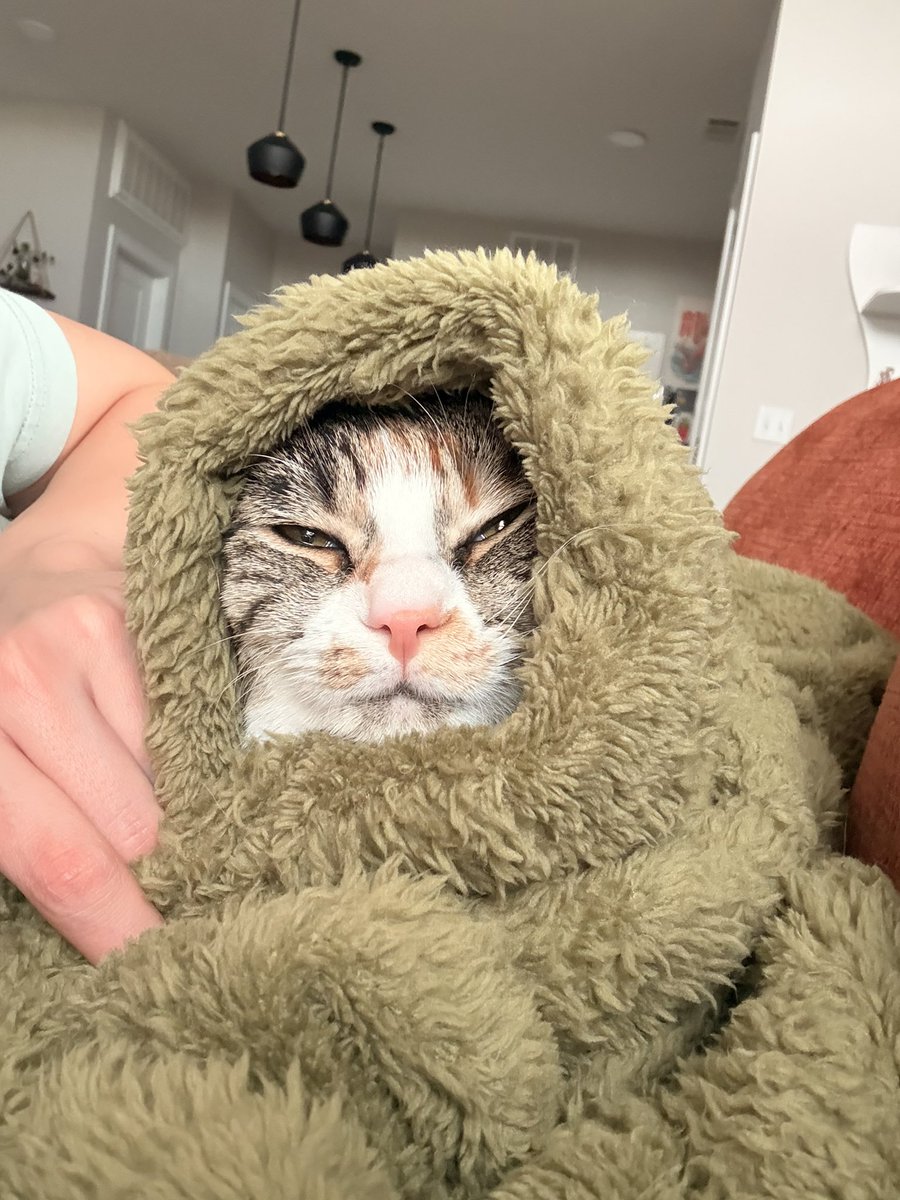 Foxie 🦊 tweet media