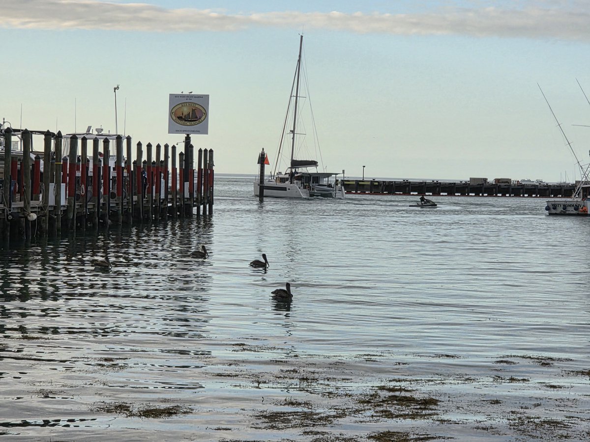 Key West - Party in Key West tweet media