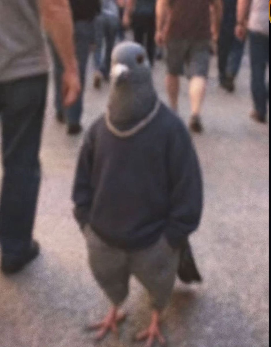 Sn0w🖤 tweet media