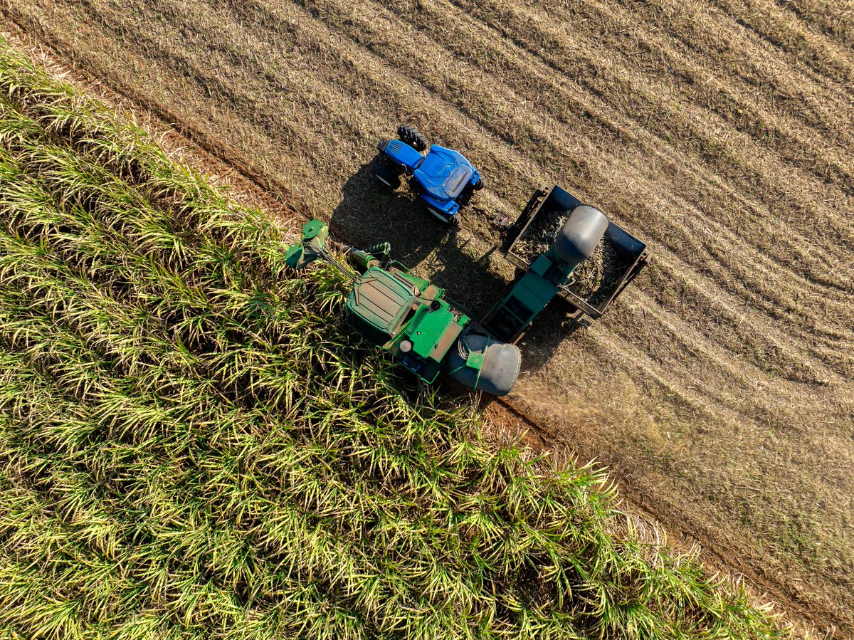 Sugaronline tweet media