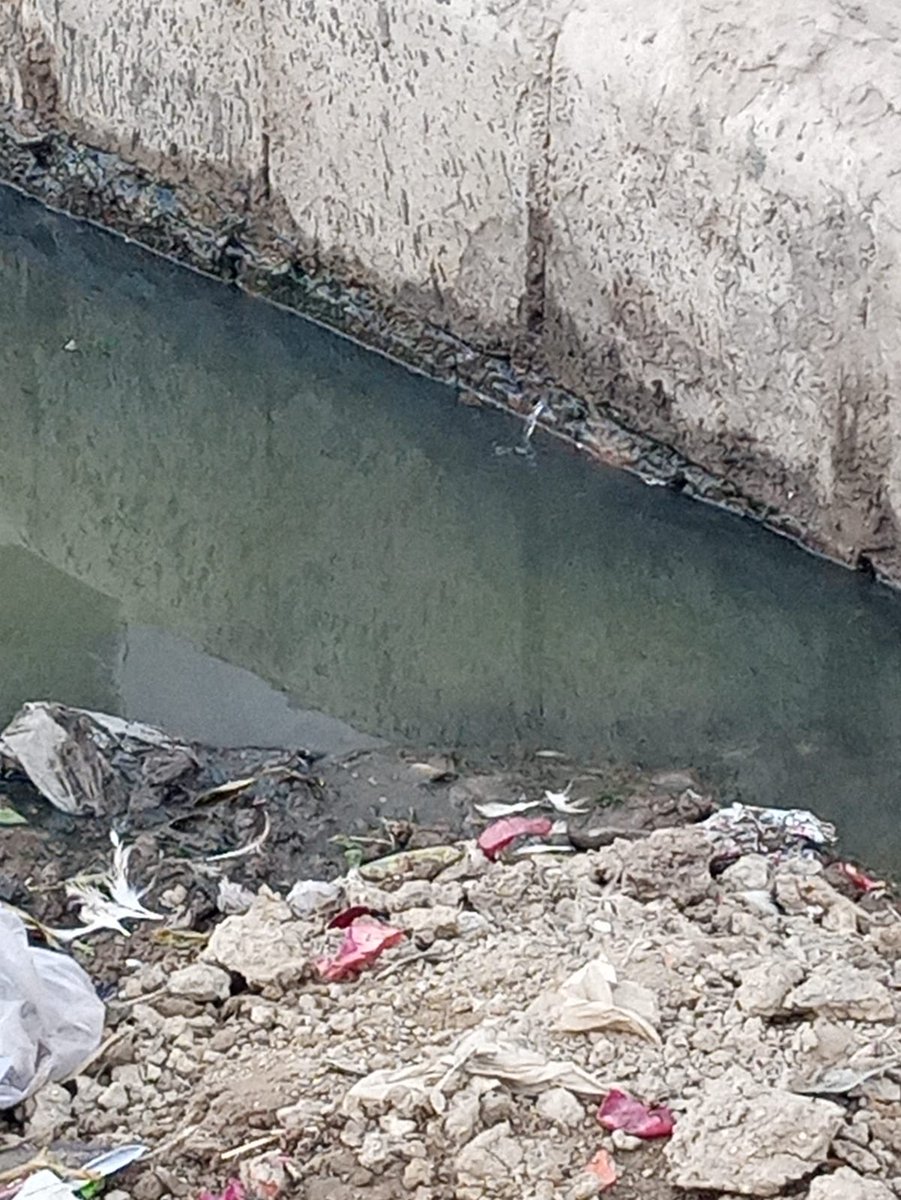 DileepGupta82's tweet photo. Sewer/drain leakage and garbage accumulation in front of house no. 568/123H, Chandpur Salori, Prayagraj. Dirty water is flowing on the road causing foul smell and health risk.
Kindly arrange urgent cleaning and repair.
@UPGovt @CMOfficeUP @myogiadityanath #Prayagraj #SewerProblem https://t.co/JDNY1KeKcr