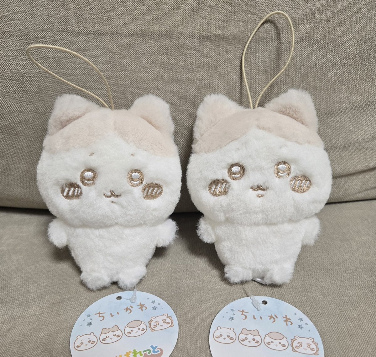 choco🧸 tweet media