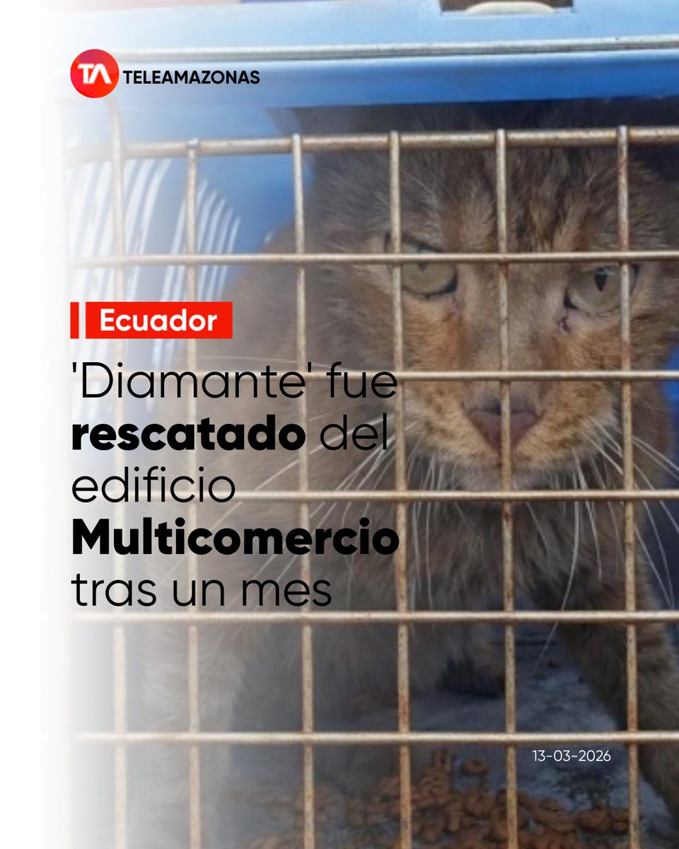 Teleamazonas tweet media