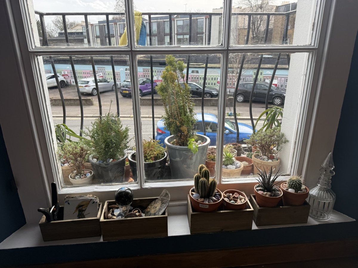 sean thomas knox tweet media