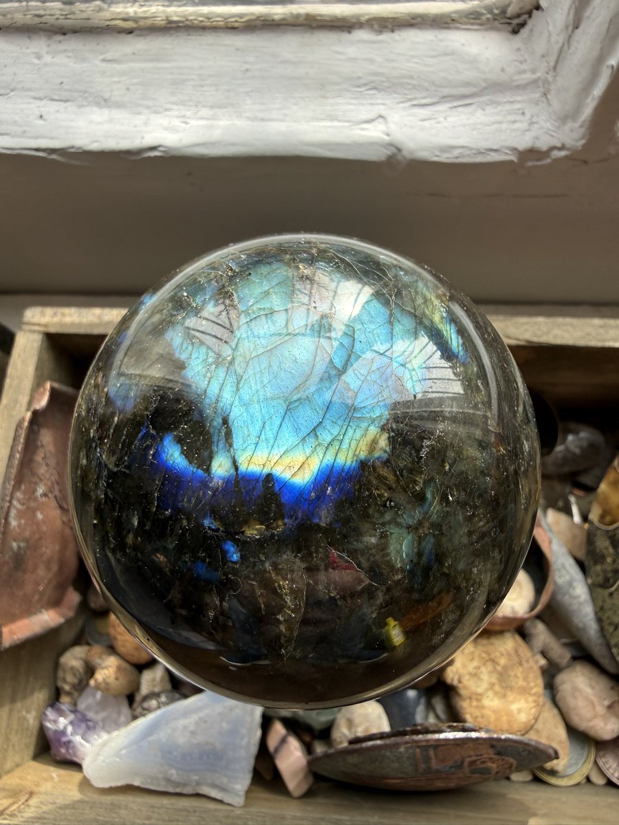 sean thomas knox tweet media