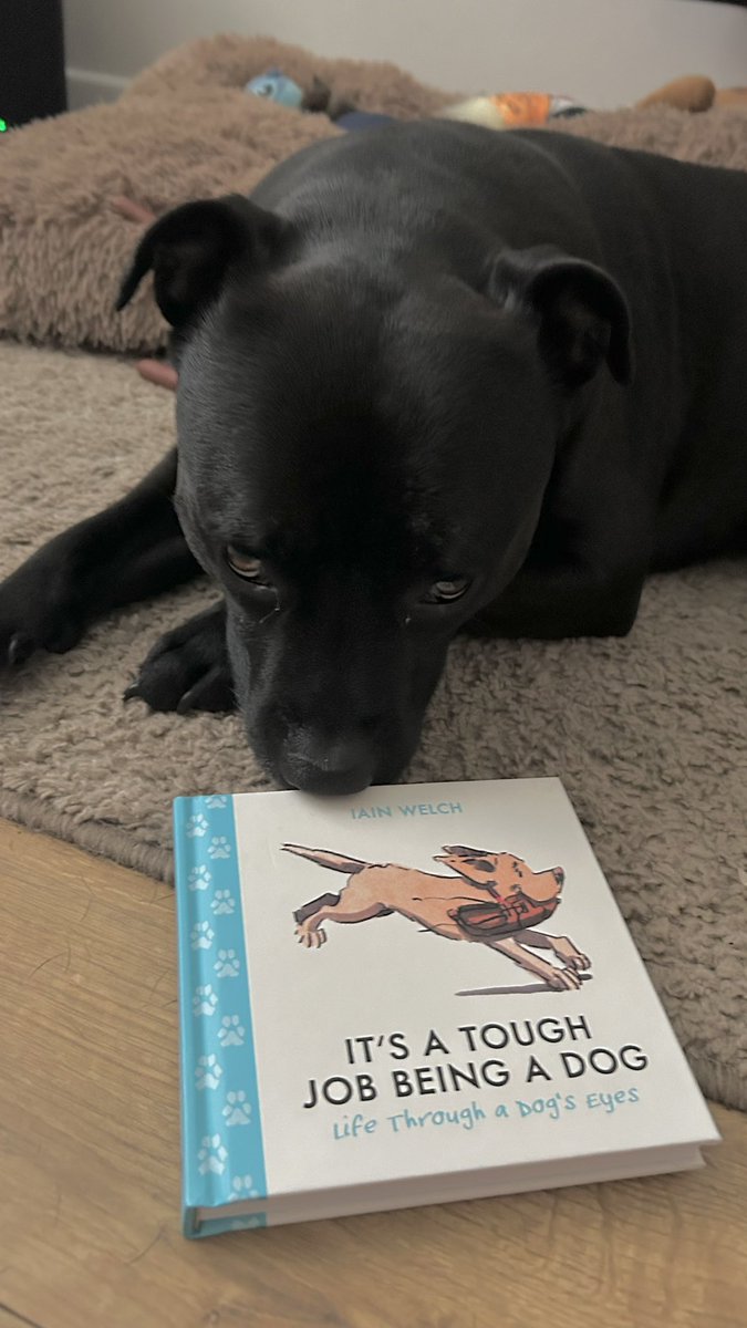 Uncle Iain, we love your new book! Please can everyone support him, it’s fabulous <a href="/iaindwelch/">iain welch</a>