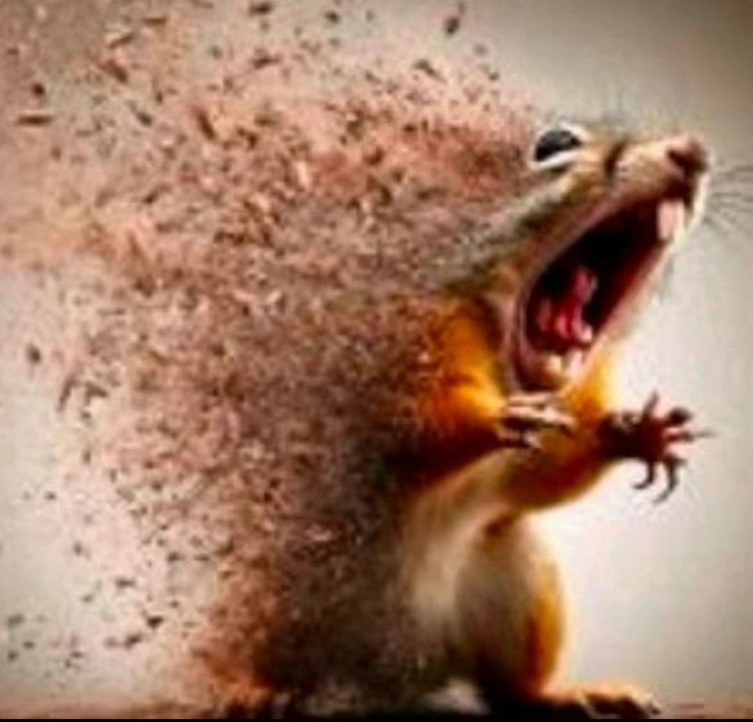 Bibi 🩷🦐VTuber【 ⭐STARGAZER 】 tweet media