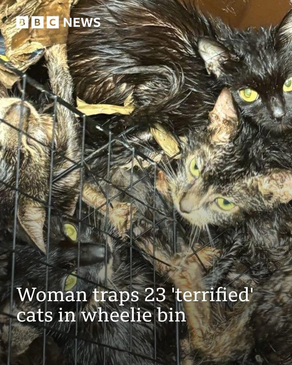 dominic dyer tweet media