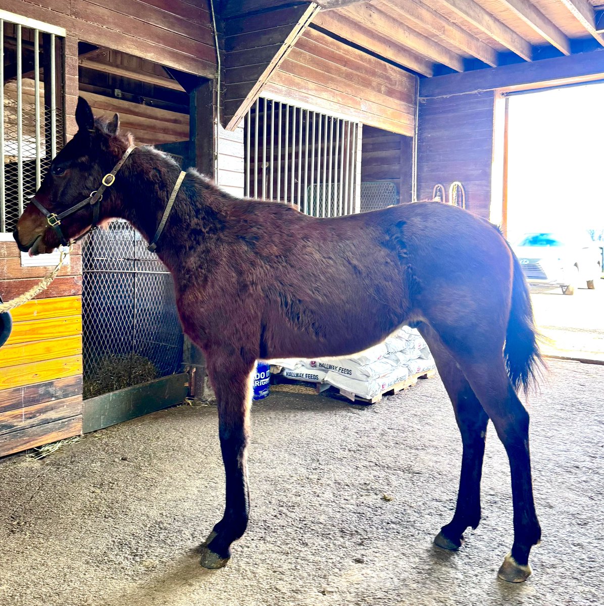 Meri Rantakallio tweet media