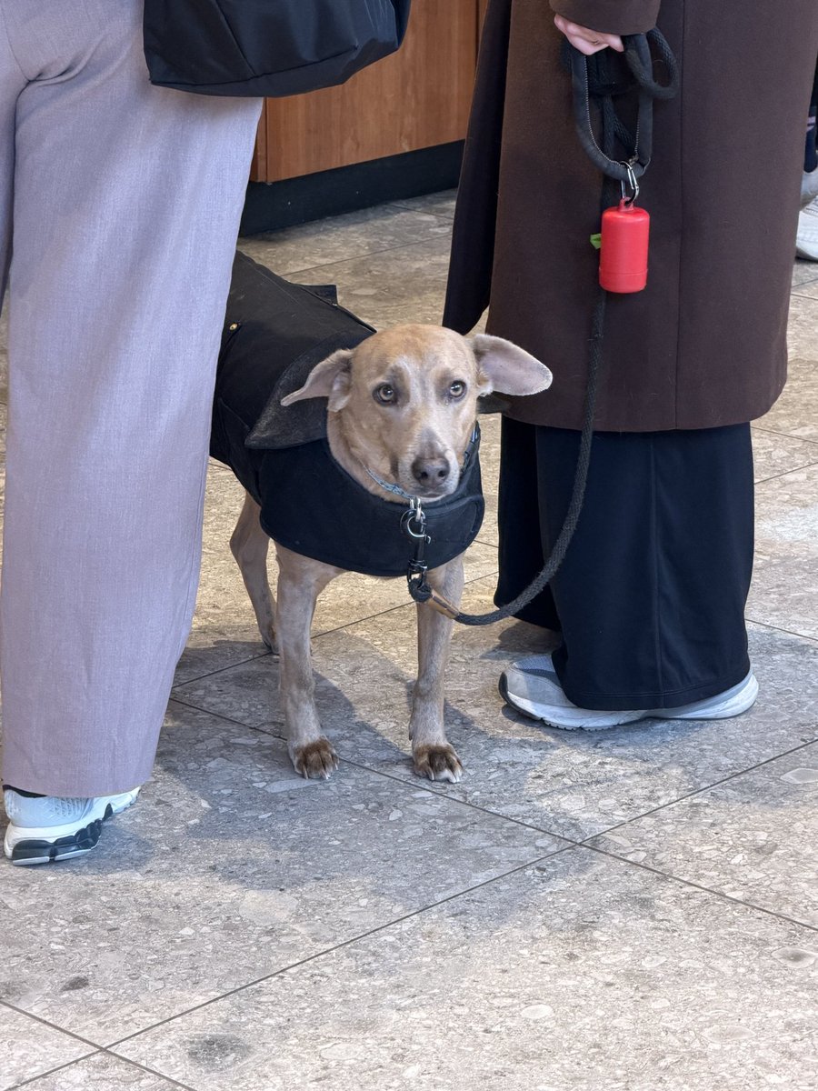 West Wilson tweet media