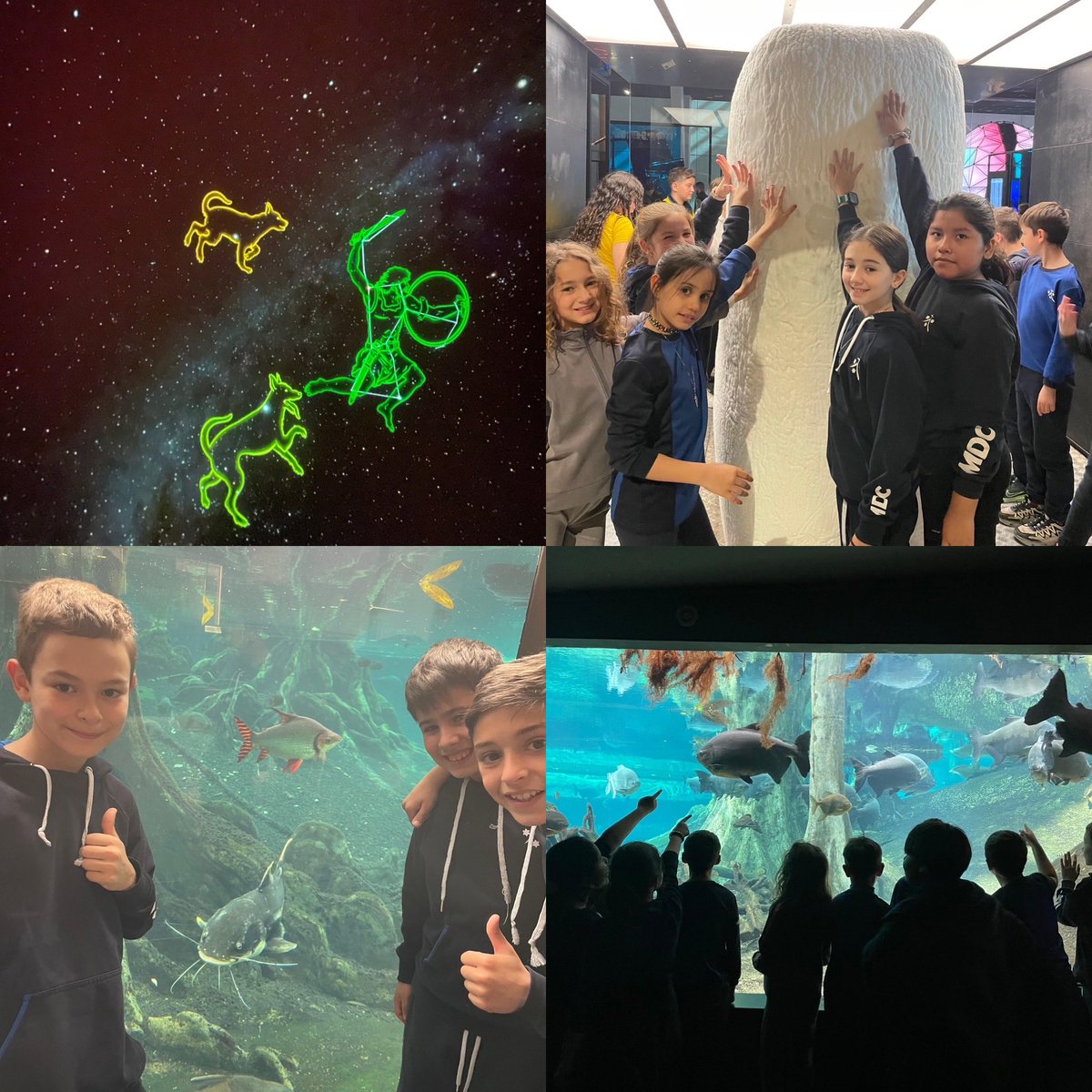 Anna Palomero tweet media