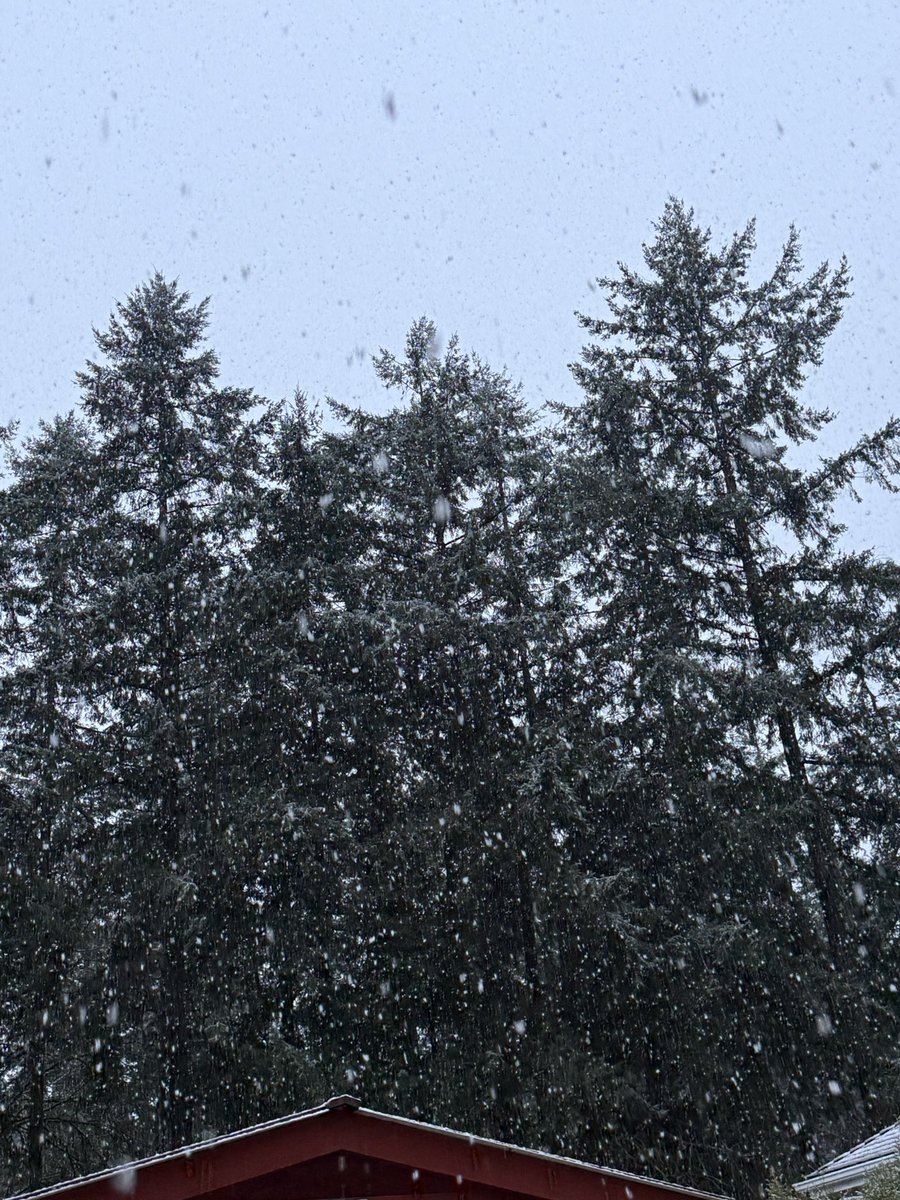 Dan Hoder tweet media