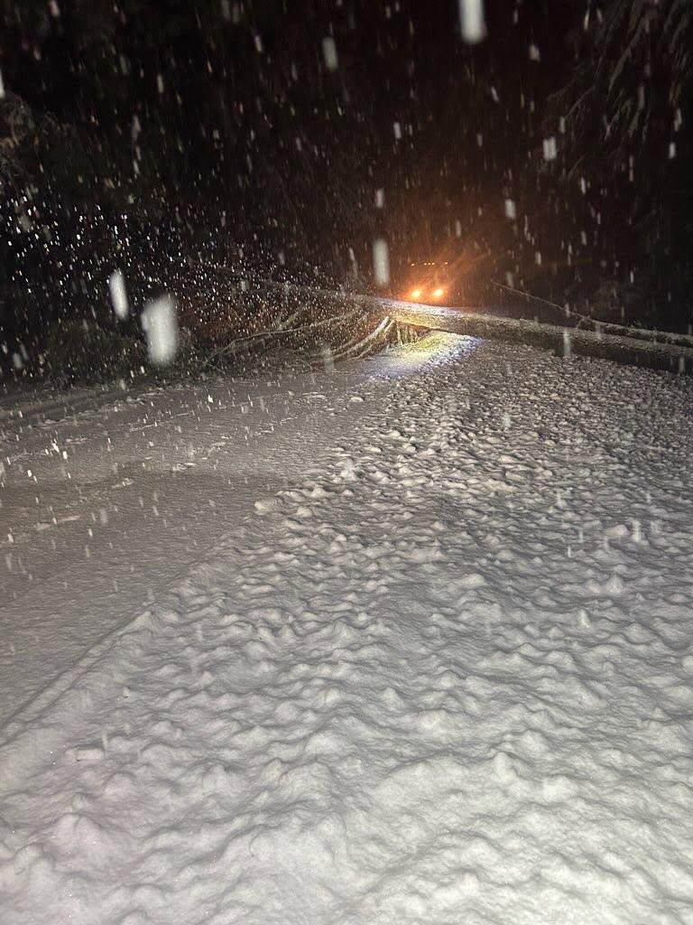 Washington State DOT tweet media