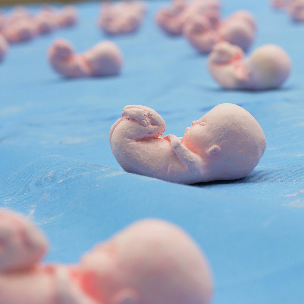 PORTAL UNO ARGENTINA 💙 tweet media