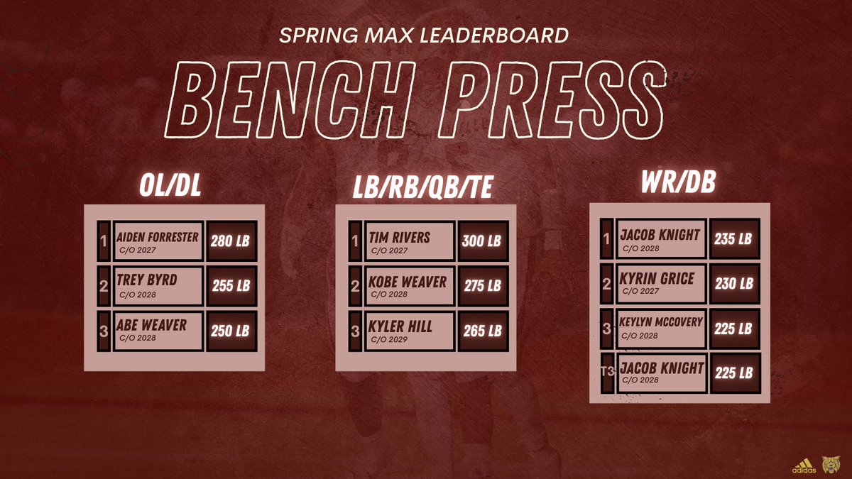 Citronelle Wildcat Football tweet media